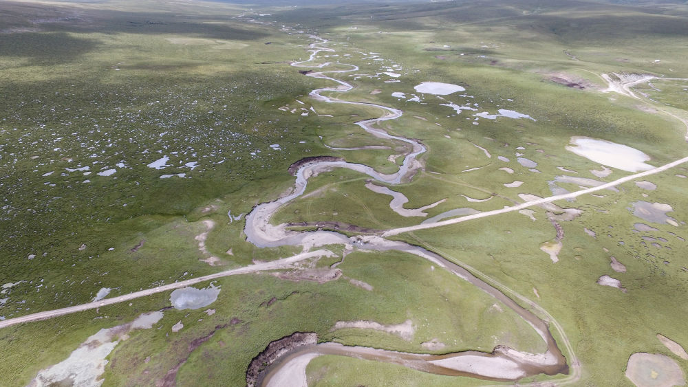 ����λ���ຣʡ���������������Ӷ��صĳ�����Դ�����ӵ���2019��8��6���㣬���˻���Ƭ����